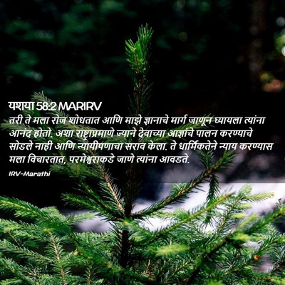 Picture 02 - यशया 58:2 MARIRV - तरी ते मला रोज - Bible Verse Picture