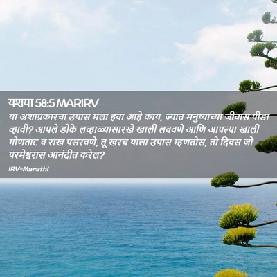 Picture 02 - यशया 58:5 MARIRV - या अशाप्रकारचा - Bible Verse Picture