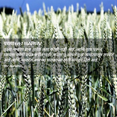 Picture 02 - यशया 64:7 MARIRV - तुझ्या नावाला हाक - Bible Verse Picture