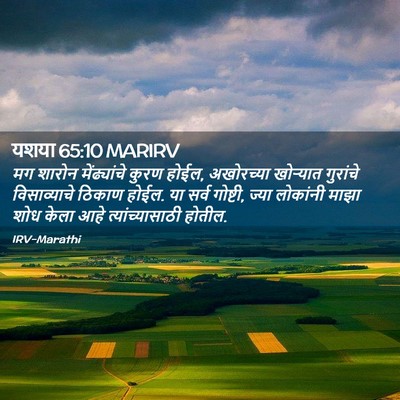 Picture 02 - यशया 65:10 MARIRV - मग शारोन - Bible Verse Picture