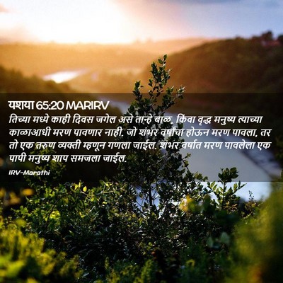 Picture 02 - यशया 65:20 MARIRV - तिच्या मध्ये काही - Bible Verse Picture