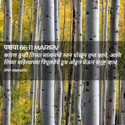 Picture 02 - यशया 66:11 MARIRV - कारण तुम्ही - Bible Verse Picture