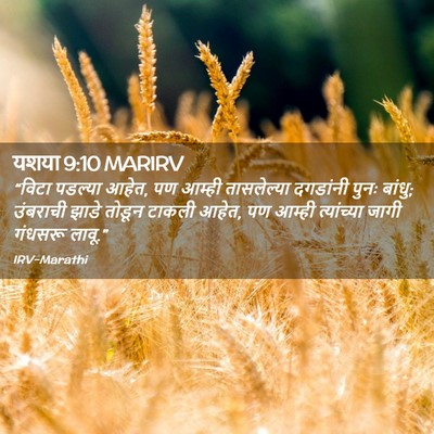 Picture 02 - यशया 9:10 MARIRV - “विटा पडल्या आहेत, - Bible Verse Picture