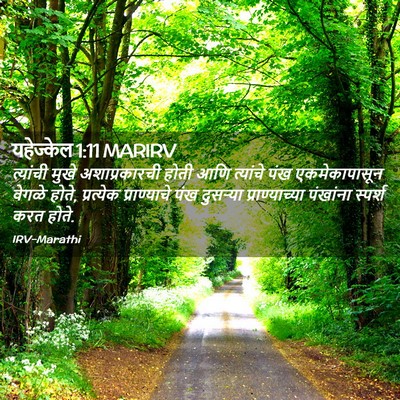 Picture 02 - यहेज्केल 1:11 MARIRV - त्यांची मुखे - Bible Verse Picture
