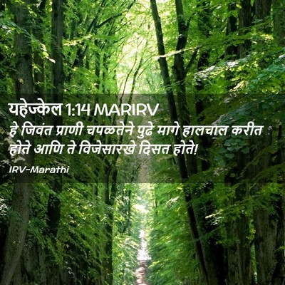Picture 02 - यहेज्केल 1:14 MARIRV - हे जिवंत प्राणी - Bible Verse Picture