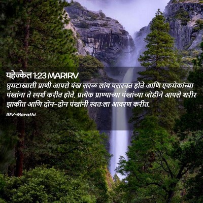 Picture 02 - यहेज्केल 1:23 MARIRV - घुमटाखाली प्राणी - Bible Verse Picture