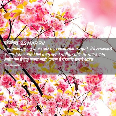 Picture 02 - यहेज्केल 12:2 MARIRV - “मानवाच्या मुला, - Bible Verse Picture