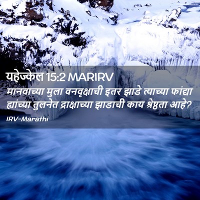 Picture 02 - यहेज्केल 15:2 MARIRV - मानवाच्या मुला - Bible Verse Picture