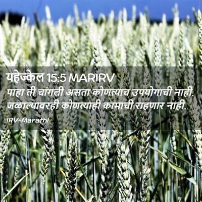 Picture 02 - यहेज्केल 15:5 MARIRV - पाहा ती चांगली - Bible Verse Picture