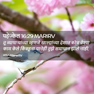 Picture 02 - यहेज्केल 16:29 MARIRV - तू - Bible Verse Picture