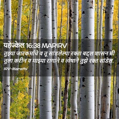 Picture 02 - यहेज्केल 16:38 MARIRV - तुझ्या जारकर्माचे - Bible Verse Picture