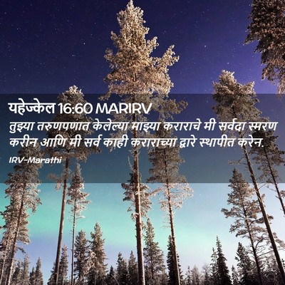 Picture 02 - यहेज्केल 16:60 MARIRV - तुझ्या तरुणपणात - Bible Verse Picture