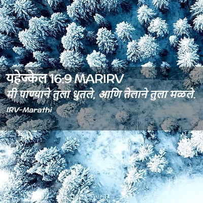 Picture 02 - यहेज्केल 16:9 MARIRV - मी पाण्याने तुला - Bible Verse Picture