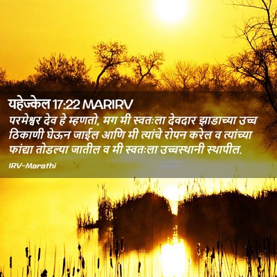 Picture 02 - यहेज्केल 17:22 MARIRV - परमेश्वर देव हे - Bible Verse Picture