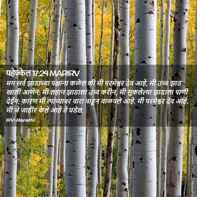Picture 02 - यहेज्केल 17:24 MARIRV - मग सर्व झाडाच्या - Bible Verse Picture