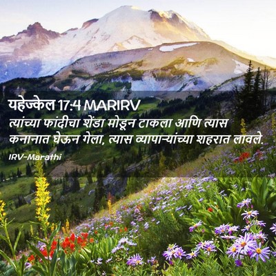 Picture 02 - यहेज्केल 17:4 MARIRV - त्यांच्या फांदीचा - Bible Verse Picture