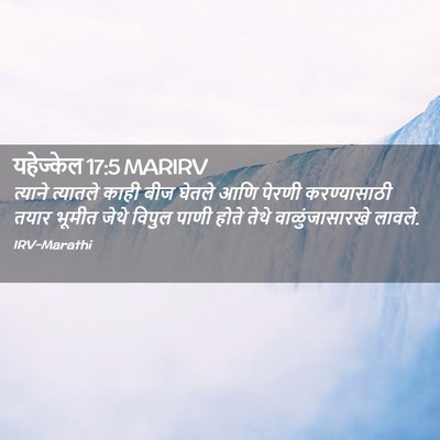 Picture 02 - यहेज्केल 17:5 MARIRV - त्याने त्यातले - Bible Verse Picture