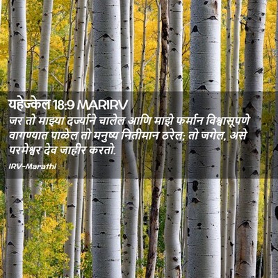 Picture 02 - यहेज्केल 18:9 MARIRV - जर तो माझ्या - Bible Verse Picture