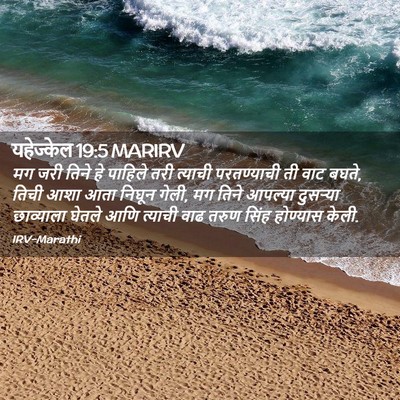 Picture 02 - यहेज्केल 19:5 MARIRV - मग जरी तिने हे - Bible Verse Picture