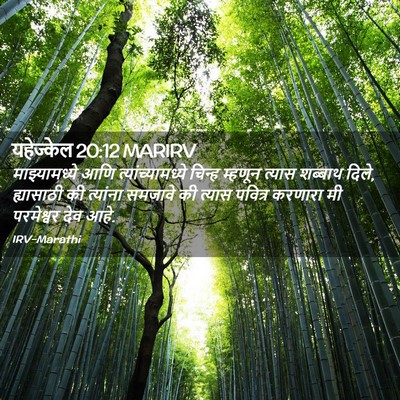 Picture 02 - यहेज्केल 20:12 MARIRV - माझ्यामध्ये आणि - Bible Verse Picture