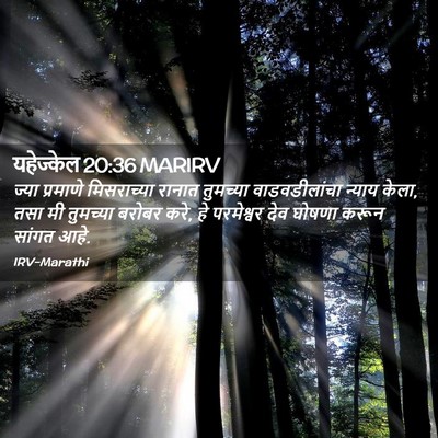 Picture 02 - यहेज्केल 20:36 MARIRV - ज्या प्रमाणे - Bible Verse Picture