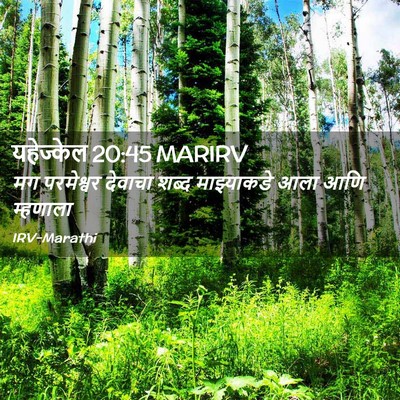 Picture 02 - यहेज्केल 20:45 MARIRV - मग परमेश्वर - Bible Verse Picture