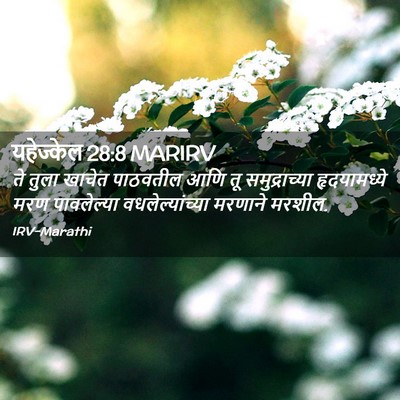 Picture 02 - यहेज्केल 28:8 MARIRV - ते तुला खाचेत - Bible Verse Picture