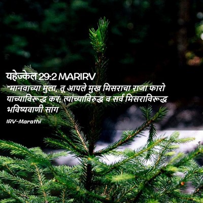 Picture 02 - यहेज्केल 29:2 MARIRV - “मानवाच्या मुला, - Bible Verse Picture