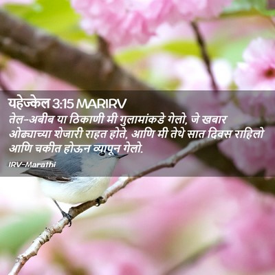 Picture 02 - यहेज्केल 3:15 MARIRV - तेल-अबीब या ठिकाणी - Bible Verse Picture