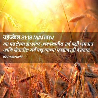 Picture 02 - यहेज्केल 31:13 MARIRV - त्या पडलेल्या - Bible Verse Picture