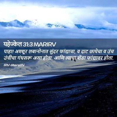 Picture 02 - यहेज्केल 31:3 MARIRV - पाहा! अश्शूर - Bible Verse Picture