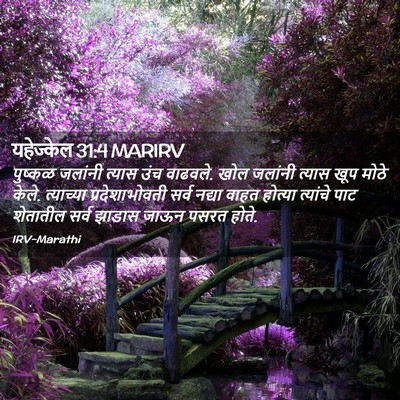 Picture 02 - यहेज्केल 31:4 MARIRV - पुष्कळ जलांनी - Bible Verse Picture