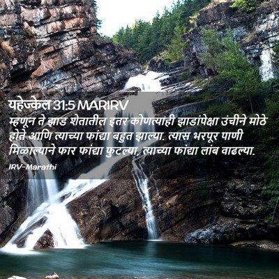Picture 02 - यहेज्केल 31:5 MARIRV - म्हणून ते झाड - Bible Verse Picture