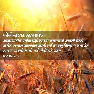 Picture 02 - यहेज्केल 31:6 MARIRV - आकाशातील प्रत्येक - Bible Verse Picture