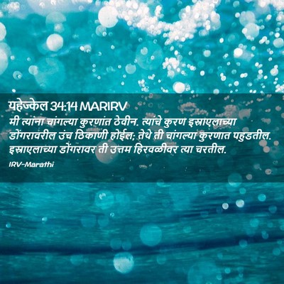 Picture 02 - यहेज्केल 34:14 MARIRV - मी त्यांना - Bible Verse Picture