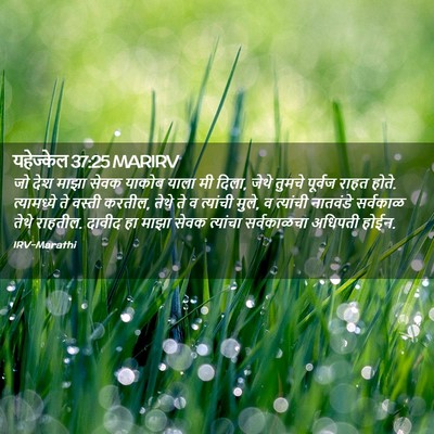 Picture 02 - यहेज्केल 37:25 MARIRV - जो देश माझा सेवक - Bible Verse Picture