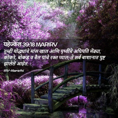 Picture 02 - यहेज्केल 39:18 MARIRV - तुम्ही - Bible Verse Picture