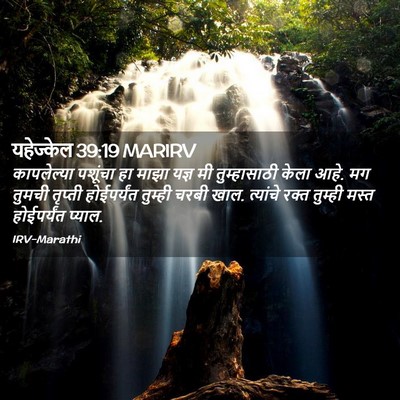 Picture 02 - यहेज्केल 39:19 MARIRV - कापलेल्या पशूंचा - Bible Verse Picture