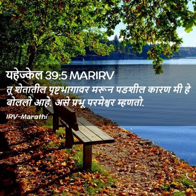 Picture 02 - यहेज्केल 39:5 MARIRV - तू शेतातील - Bible Verse Picture