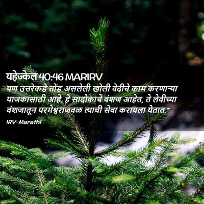 Picture 02 - यहेज्केल 40:46 MARIRV - पण उत्तरेकडे तोंड - Bible Verse Picture