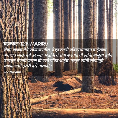 Picture 02 - यहेज्केल 42:14 MARIRV - जेव्हा याजक तेथे - Bible Verse Picture