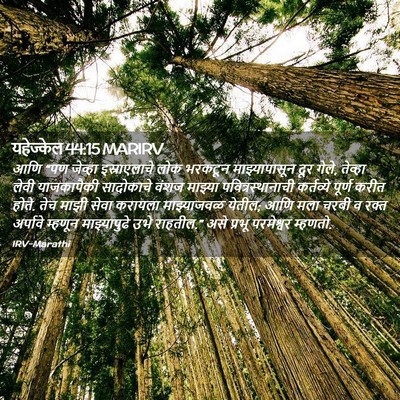 Picture 02 - यहेज्केल 44:15 MARIRV - आणि “पण जेव्हा - Bible Verse Picture
