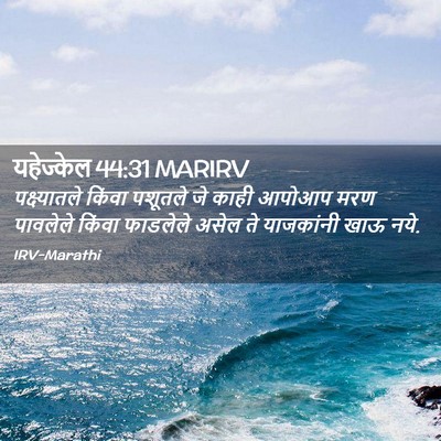 Picture 02 - यहेज्केल 44:31 MARIRV - पक्ष्यातले किंवा - Bible Verse Picture