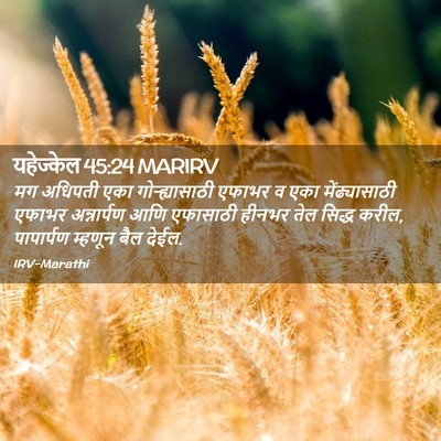 Picture 02 - यहेज्केल 45:24 MARIRV - मग अधिपती एका - Bible Verse Picture