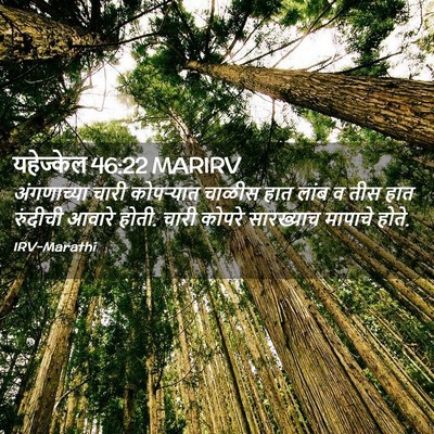 Picture 02 - यहेज्केल 46:22 MARIRV - अंगणाच्या चारी - Bible Verse Picture