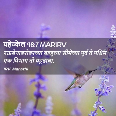 Picture 02 - यहेज्केल 48:7 MARIRV - रऊबेनाबरोबरच्या - Bible Verse Picture
