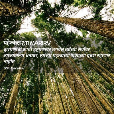 Picture 02 - यहेज्केल 7:11 MARIRV - क्रुरपणाची काठी - Bible Verse Picture
