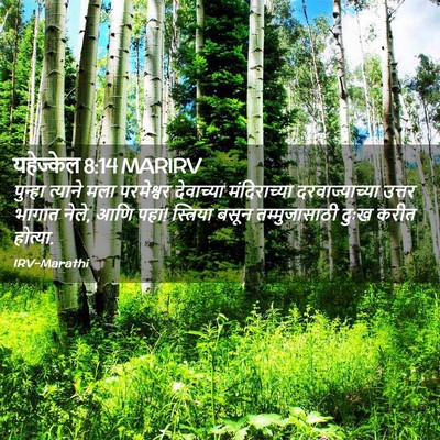 Picture 02 - यहेज्केल 8:14 MARIRV - पुन्हा त्याने मला - Bible Verse Picture