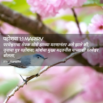 Picture 02 - यहोशवा 1:1 MARIRV - परमेश्वराचा सेवक - Bible Verse Picture