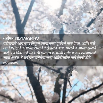 Picture 02 - यहोशवा 10:1 MARIRV - यहोशवाने आय नगर - Bible Verse Picture